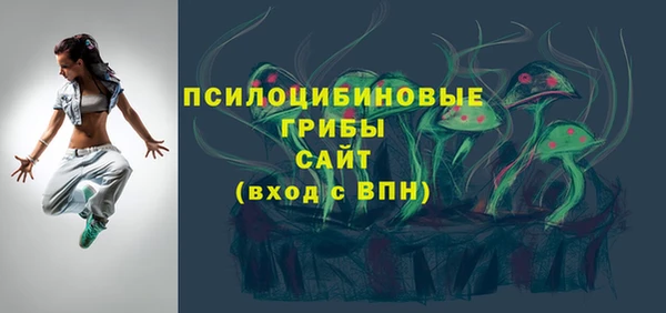 дживик Аркадак